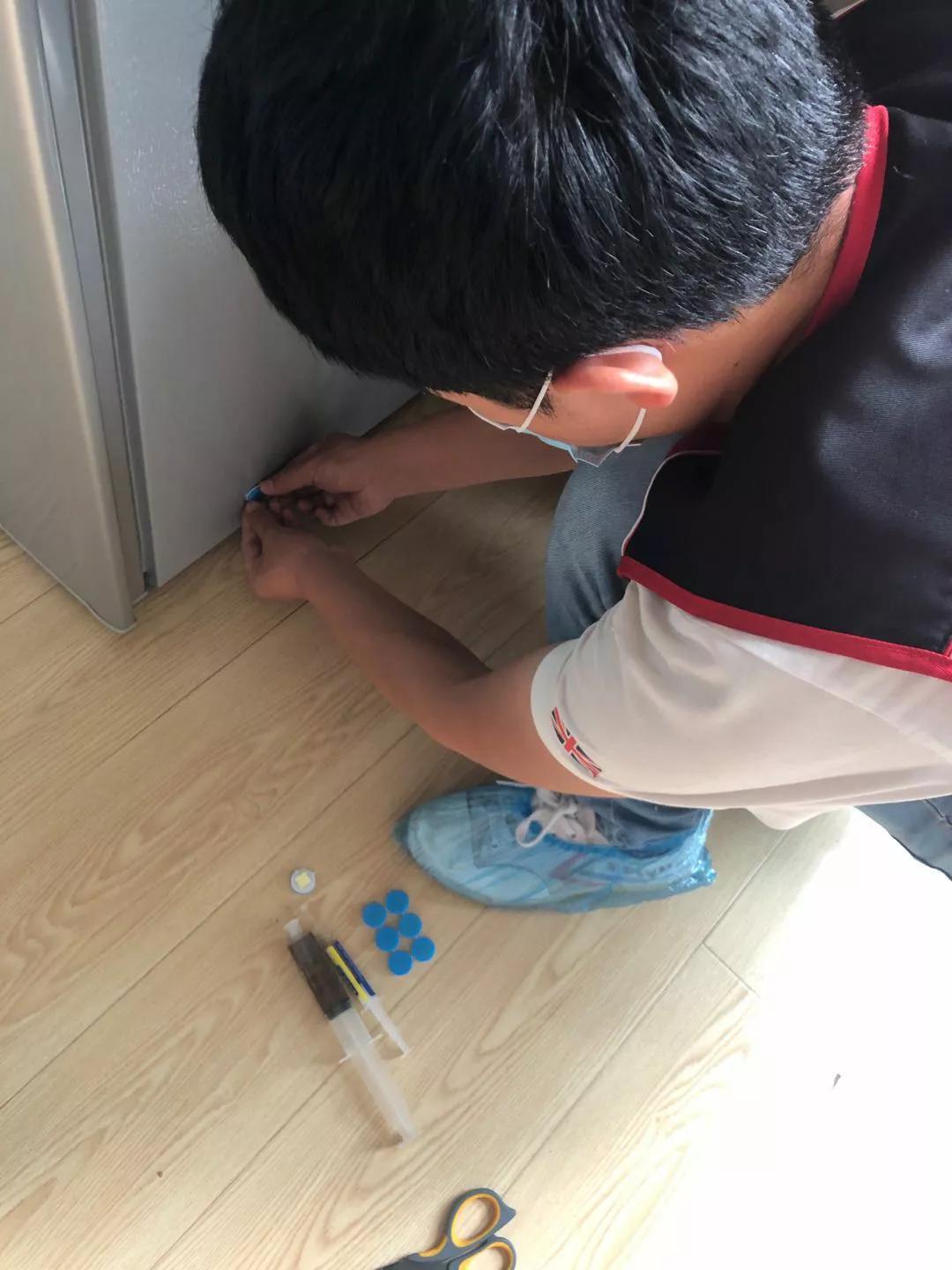 杀灭蟑螂公司_灭蟑螂公司_蟑螂公司灭蟑螂一般要多少钱