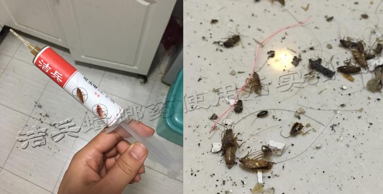 蟑螂药哪个品牌杀灭效果好_灭蟑螂药哪个品牌好_灭蟑螂药什么牌子的最好