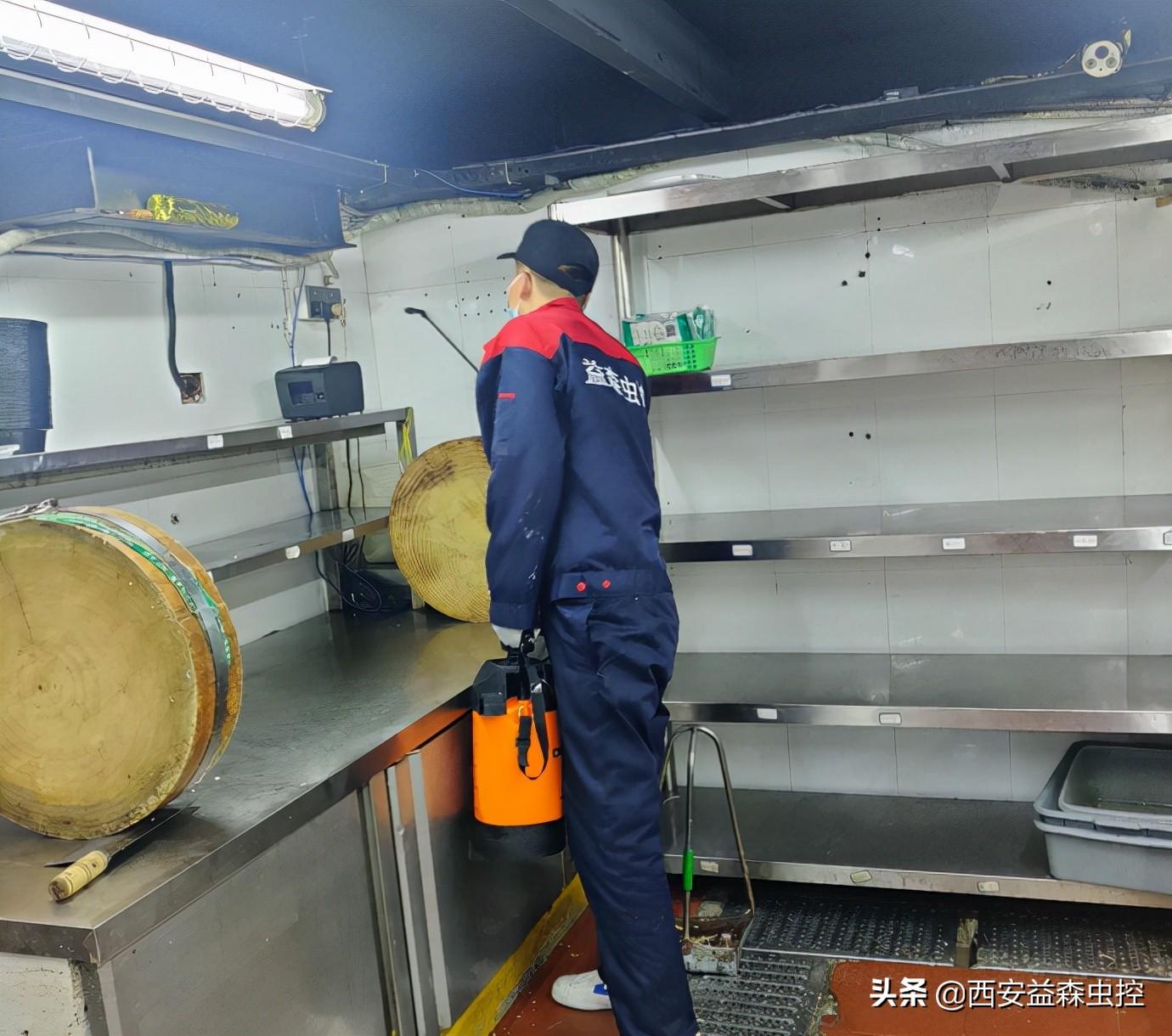 蟑螂公司灭蟑螂一般要多少钱_灭蟑螂公司_杀灭蟑螂公司
