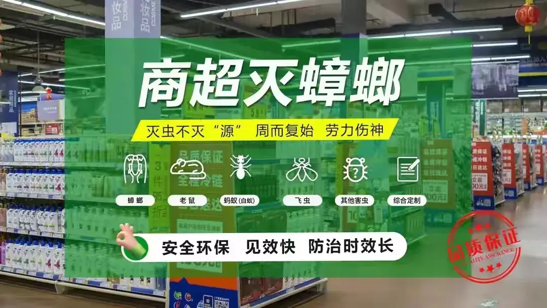 灭蟑螂公司_蟑螂公司灭蟑螂一般要多少钱_蟑螂公司灭蟑螂有用吗