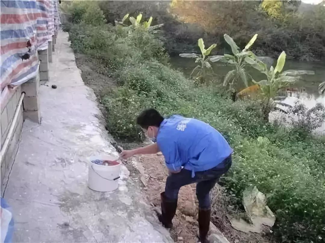 苍蝇灭杀方法_灭苍蝇用什么办法_灭苍蝇秘方