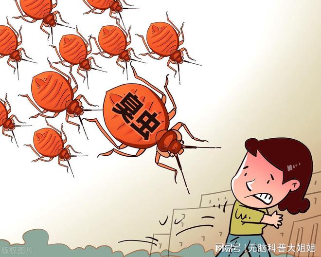 灭臭虫的最好方法_速灭臭虫_灭臭虫药纸哪里可以买到