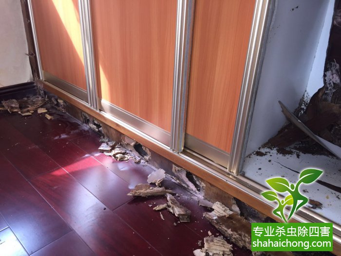 白蚁灭治技术_灭白蚁防治_如何防白蚁灭白蚁