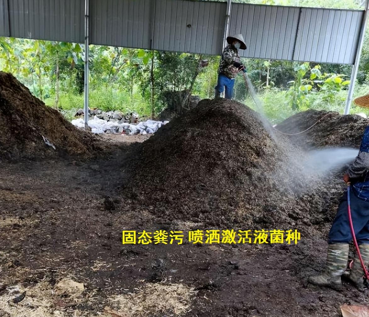 苍蝇药喷多了怎么去味_灭苍蝇药过_苍蝇药喷了多久能失去药效