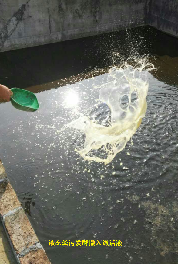 苍蝇药喷了多久能失去药效_灭苍蝇药过_苍蝇药喷多了怎么去味