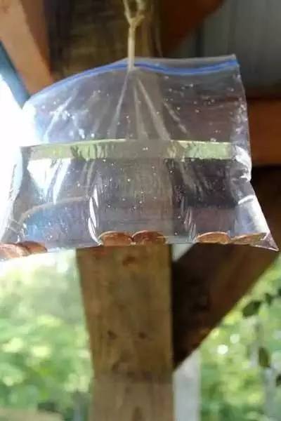 苍蝇驱赶方法_驱赶苍蝇最简单实用的办法_苍蝇实用驱赶办法简单说明