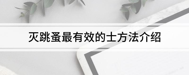 灭跳蚤有效方法有哪些_灭跳蚤的有效方法_灭跳蚤最有效的方法