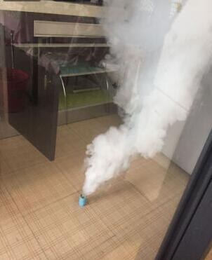 灭臭虫的中药_臭虫中药起什么作用_灭臭虫的药
