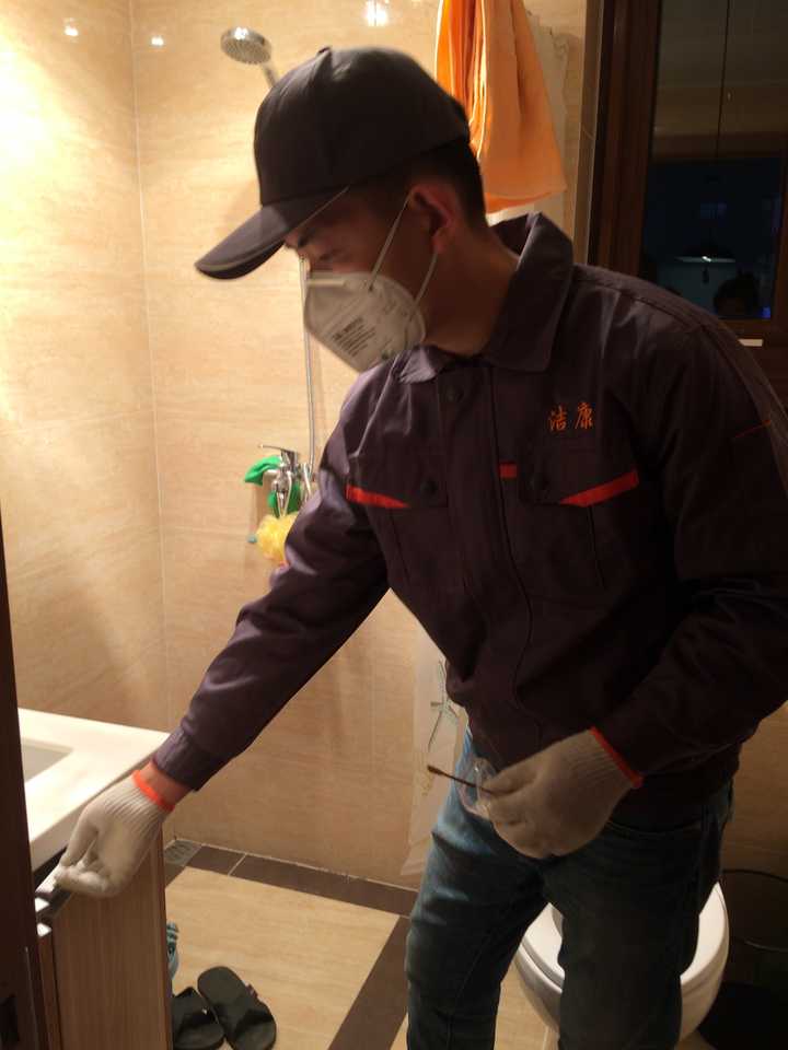 臭虫中药起什么作用_灭臭虫的中药_灭臭虫的药