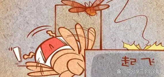 蟑螂灭除方法_灭蟑螂最有效方法_蟑螂的杀灭方法