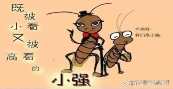 蟑螂的杀灭方法_灭蟑螂最有效方法_蟑螂灭除方法