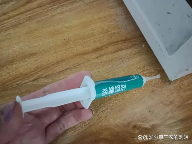 蟑螂灭除方法_灭蟑螂最有效方法_蟑螂的杀灭方法