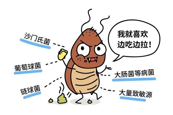 蟑螂怎么消灭最彻底小妙招知乎_灭蟑螂最有效方法_蟑螂怎么灭法啊有特效吗