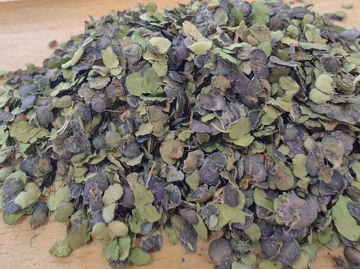 简单的灭蚊方法_简单有效的灭蚊方法_灭蚊子最简单的方法