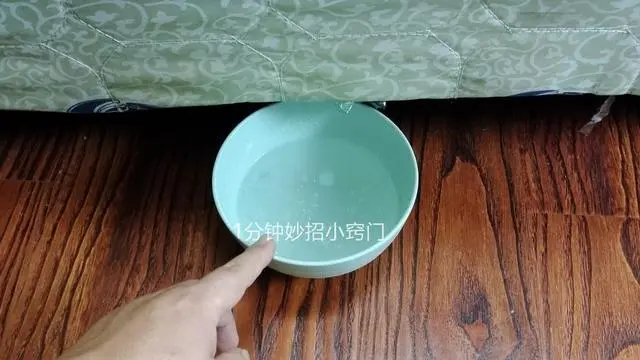 如何灭蚊子最快最有效_灭蚊子配方_灭蚊子最有效的产品