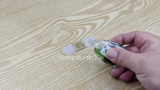 如何灭蚊子最快最有效_灭蚊子最有效的产品_灭蚊子配方