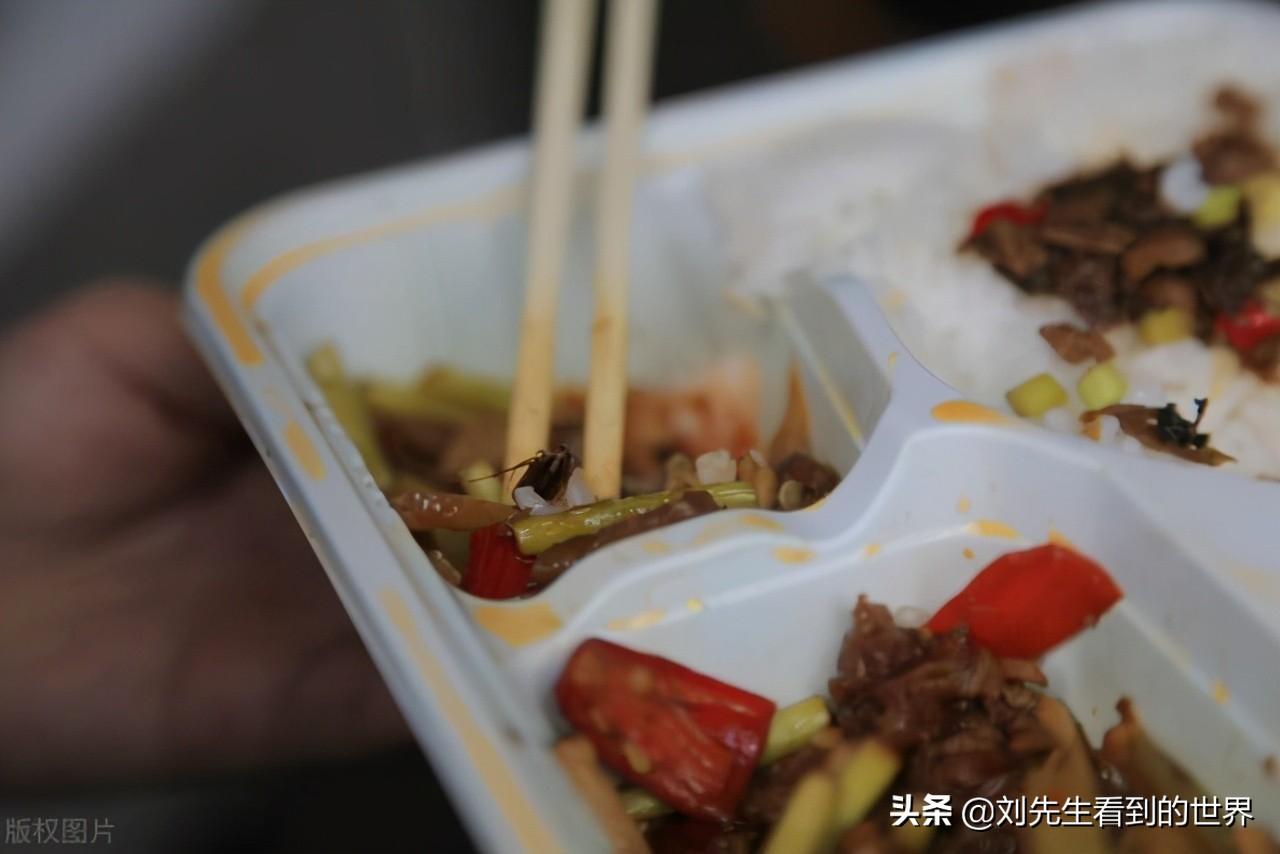 蚂蚁药老鼠药录音_老鼠药蟑螂药蚂蚁药_灭老鼠药能灭蚂蚁吗