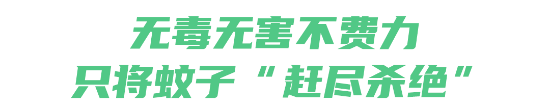 灭蚊子灭苍蝇_蚊子苍蝇神器灭绝了吗_灭苍蝇蚊子神器