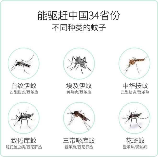 灭苍蝇蚊子神器_蚊子苍蝇神器灭绝了吗_灭蚊子灭苍蝇