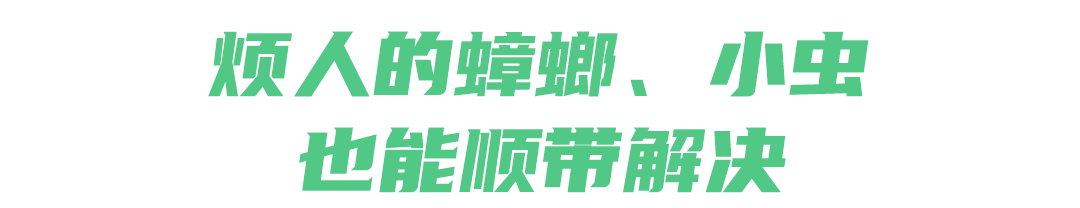 灭蚊子灭苍蝇_蚊子苍蝇神器灭绝了吗_灭苍蝇蚊子神器
