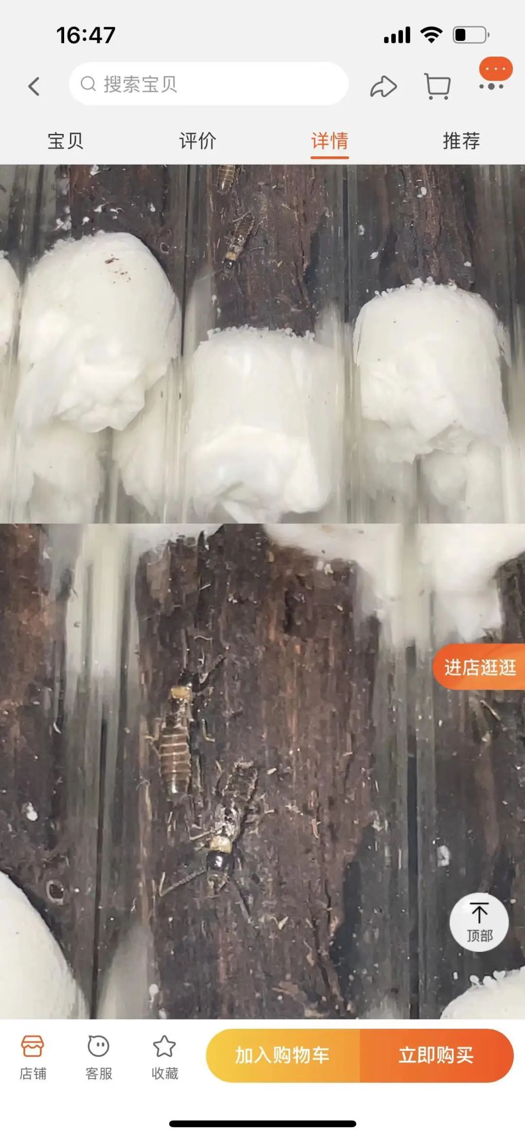 白蚁打什么电话_灭白蚁的电话号码是多少_灭白蚁公司号码