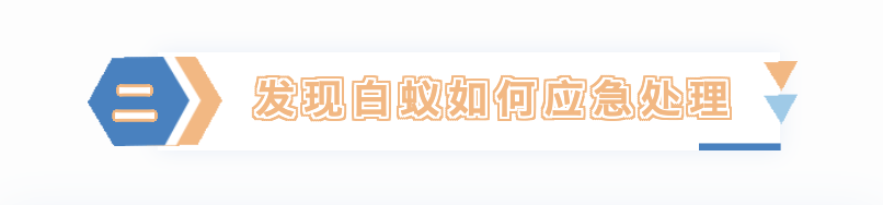 灭白蚁的电话号码是多少_有没有消灭白蚁的电话_白蚁打什么电话