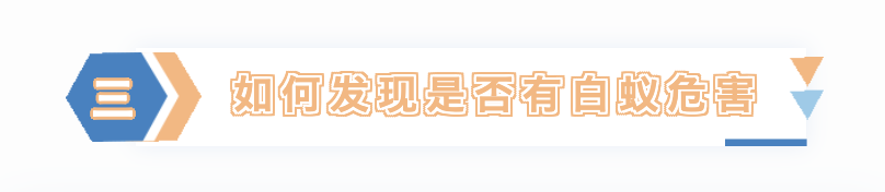 有没有消灭白蚁的电话_灭白蚁的电话号码是多少_白蚁打什么电话