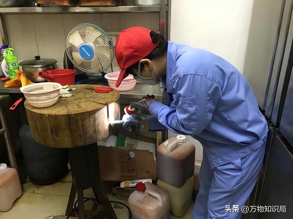灭杀蟑螂药_灭蟑螂蟑螂药_灭蟑螂的特效药