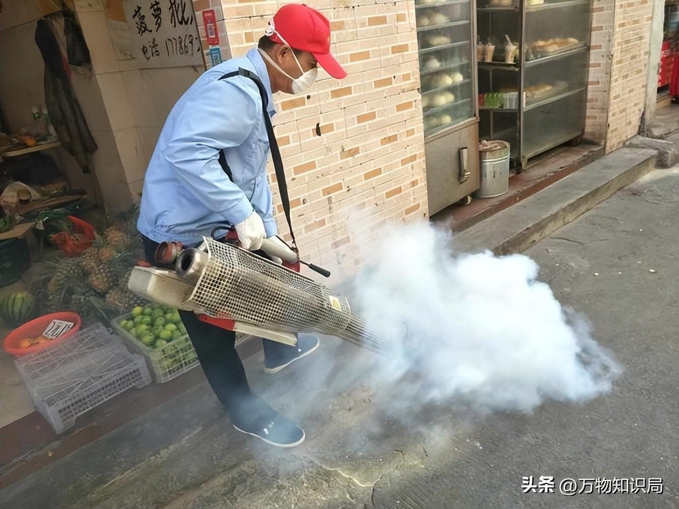 灭蟑螂蟑螂药_灭杀蟑螂药_灭蟑螂的特效药