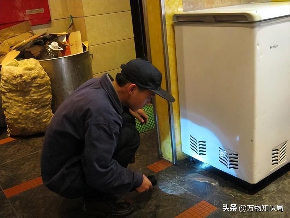 灭蟑螂蟑螂药_灭蟑螂的特效药_灭杀蟑螂药