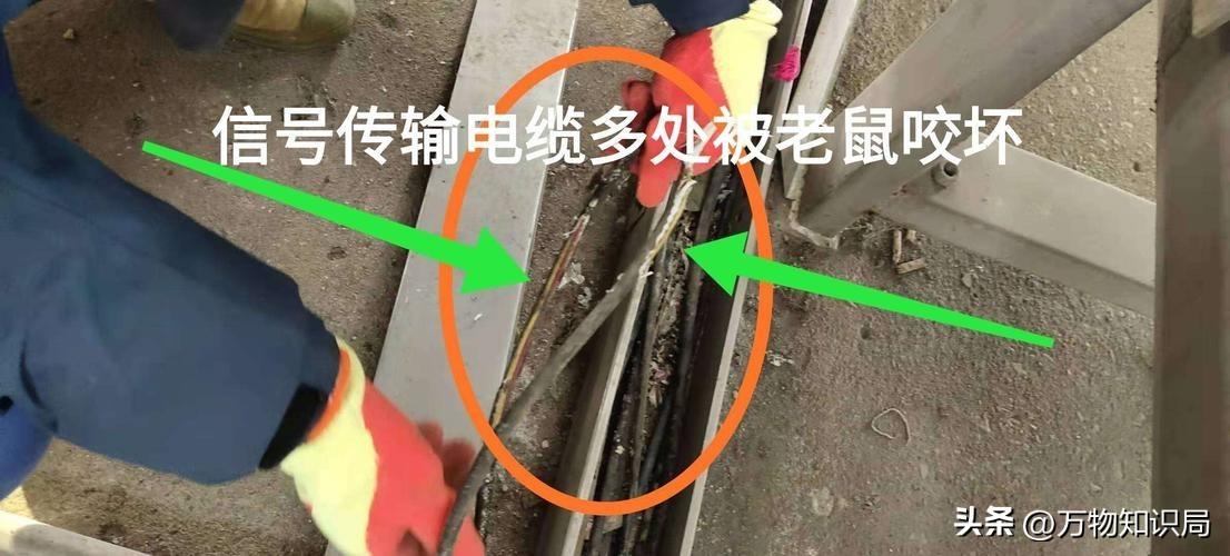灭蟑螂的特效药_灭杀蟑螂药_灭蟑螂蟑螂药
