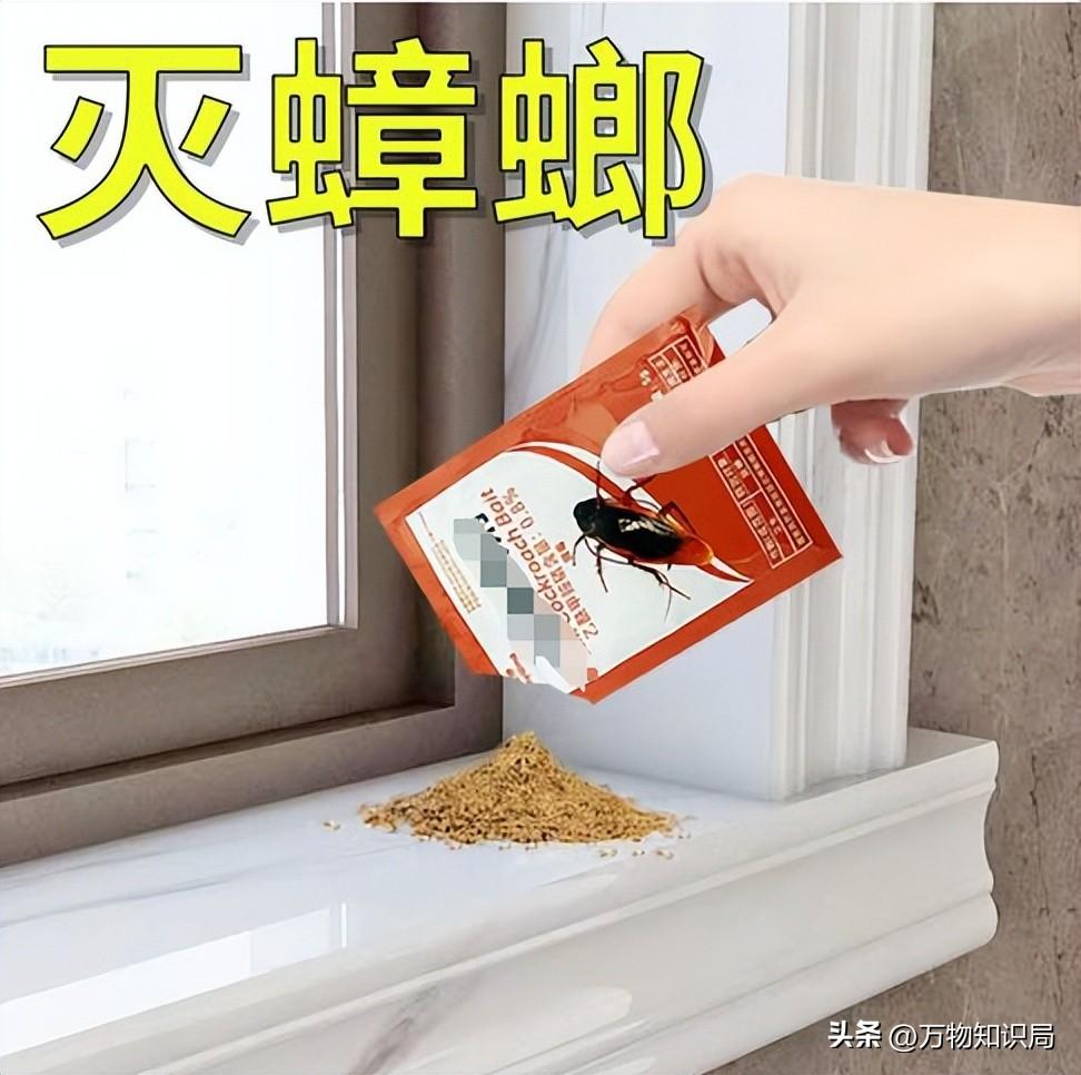 灭蟑螂的特效药_灭杀蟑螂药_灭蟑螂蟑螂药
