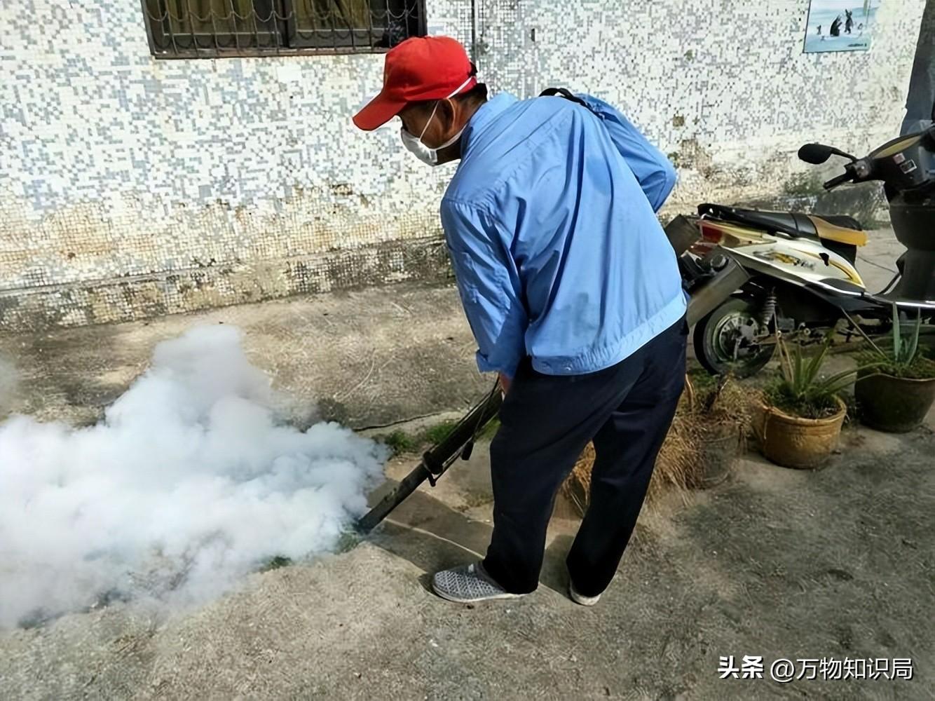 灭蟑螂的特效药_灭蟑螂蟑螂药_灭杀蟑螂药