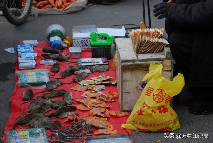 灭蟑螂的特效药_灭蟑螂蟑螂药_灭杀蟑螂药