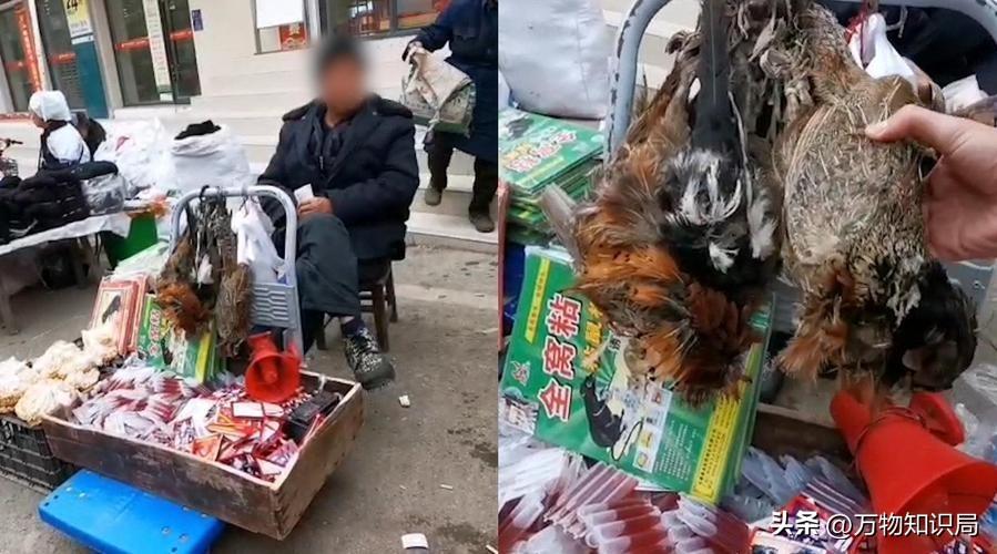 灭杀蟑螂药_灭蟑螂的特效药_灭蟑螂蟑螂药