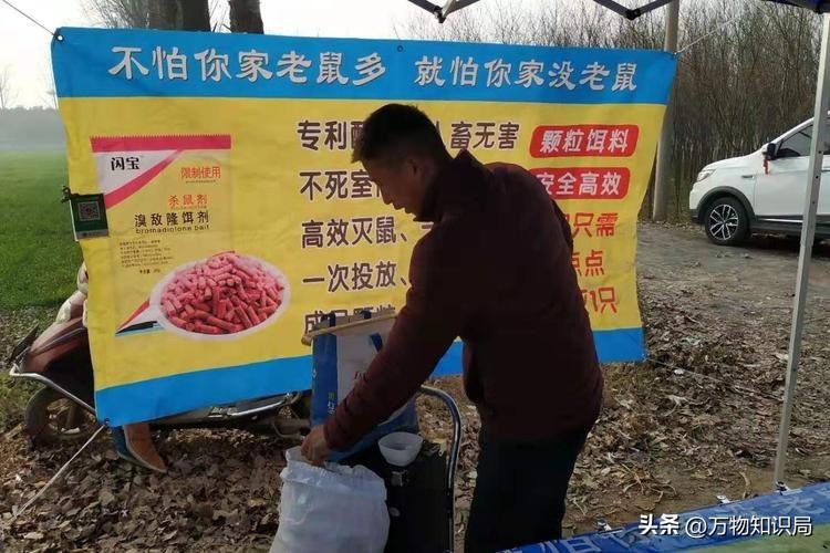 灭蟑螂蟑螂药_灭蟑螂的特效药_灭杀蟑螂药