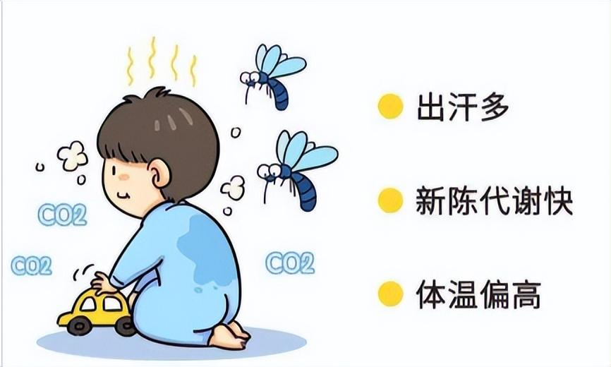 灭蚊子最简单的方法_简单灭蚊子的方法_灭蚊新方法