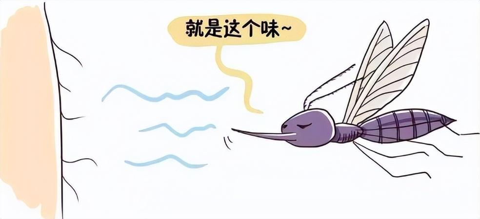 灭蚊新方法_简单灭蚊子的方法_灭蚊子最简单的方法
