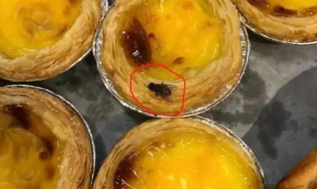 蚊子苍蝇怎么灭绝不了_蚊子苍蝇怎么消灭_灭苍蝇蚊子最有效的方法