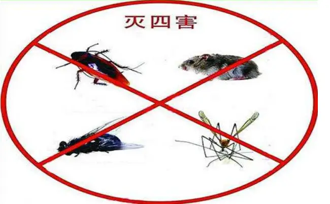 蚊子苍蝇怎么消灭_蚊子苍蝇怎么灭绝不了_灭苍蝇蚊子最有效的方法