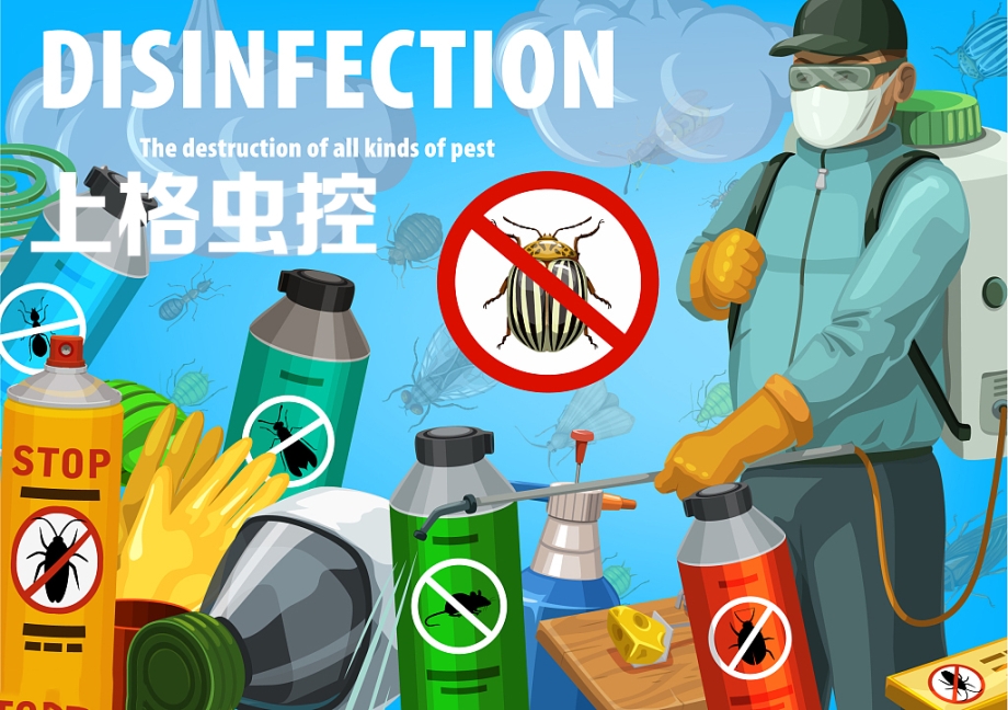 上海灭白蚁_上海灭白蚁热线_上海灭白蚁公司电话