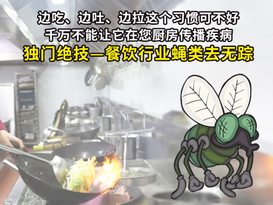 上海灭白蚁_上海灭白蚁公司电话_上海灭白蚁热线