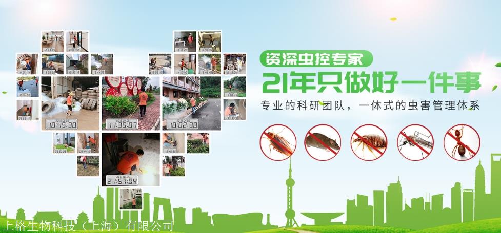上海灭白蚁_上海灭白蚁热线_上海灭白蚁怎么收费价格