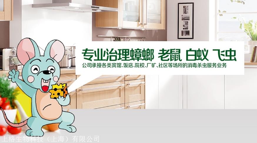 上海灭白蚁怎么收费价格_上海灭白蚁_上海灭白蚁热线