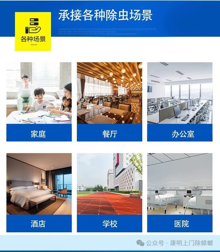 上门灭白蚂蚁_灭白蚁服务收费_灭白蚁上门要收费吗