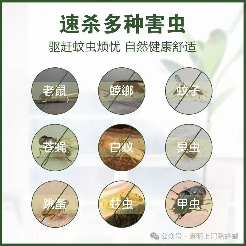 灭白蚁上门要收费吗_上门灭白蚂蚁_灭白蚁服务收费
