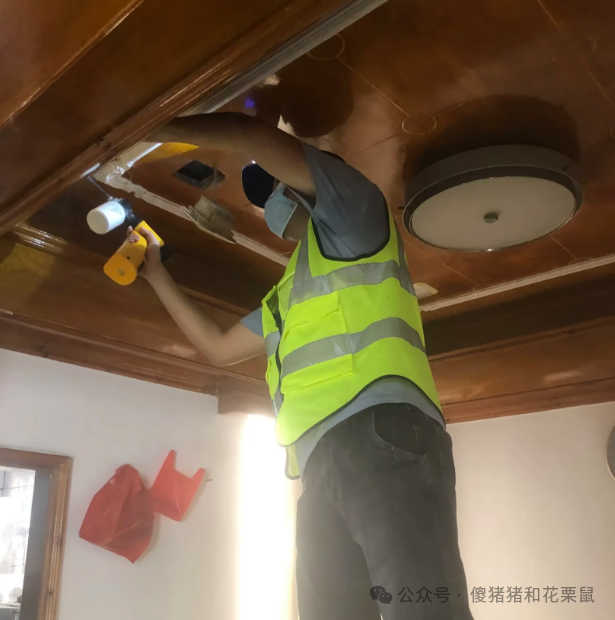 灭白蚁上门要收费吗_灭白蚁服务收费_上门灭蚁一般多少钱