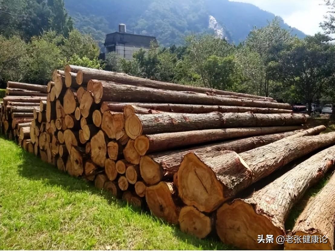 蚊子苍蝇怎么消灭_治蚊子苍蝇的小妙招_灭苍蝇蚊子最有效的方法