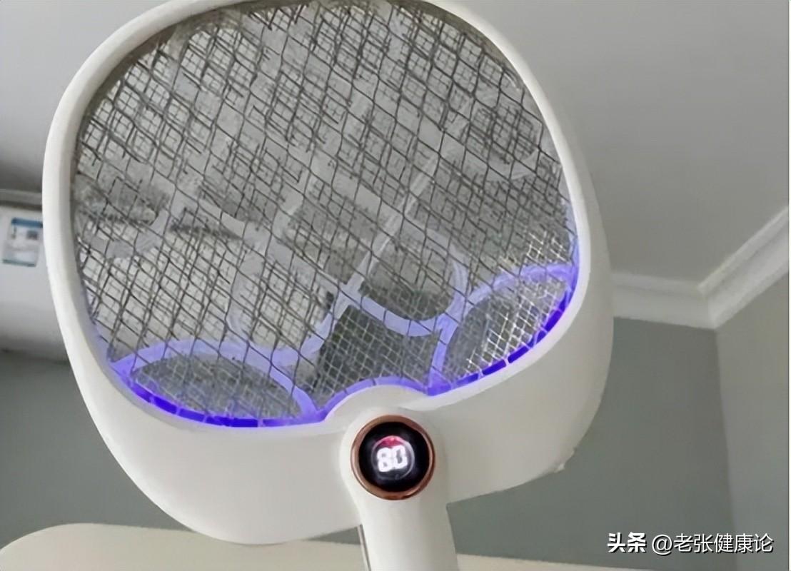 治蚊子苍蝇的小妙招_蚊子苍蝇怎么消灭_灭苍蝇蚊子最有效的方法