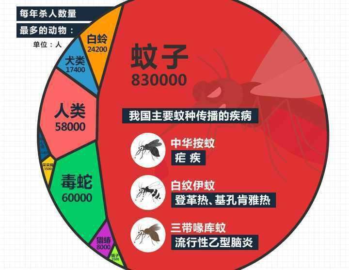 蚊子彻底消灭_蚊子灭绝的国家_国家为什么不消灭蚊子